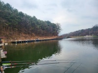 유료터정보 > 유료터조행기 > 블랙베어의 유료터 조행기 - 동교낚시터... 블랙베어의 유료터 조행기 -  ﻿동교낚시터 (feat : 경원스텝)