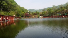 유료터정보 > 유료터조행기 > 황금연휴 낚시