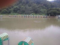 유료터정보 > 유료터조행기 > 낙산 유료낚시터 사진 몇장 올려봅니다..