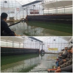 유료터정보 > 유료터조행기 > 백두산낚시터 조행기