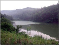 조황/조행기 > 작품 조행기 > 그 여름속에서