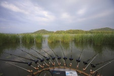 조황/조행기 > 작품 조행기 > 꾼이야 낚시여정 199편 참 좋은만남 