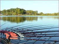 조황/조행기 > 작품 조행기 > 싸나이 한길 붕어사랑 (81탄)