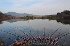 조황/조행기 > 작품 조행기 > 싸나이 한길 붕어사랑 (133탄)