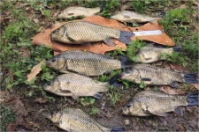 조황/조행기 > 작품 조행기 > 참 좋은 인연