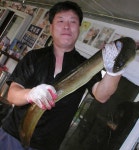 조황조행기 > 특파원조황 > [충주호] 대물 대물장어의 향연...