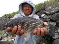 조황조행기 > 특파원조황 > 천수만[부남호] 5월20일 40.5cm 대물조황