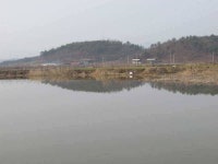 조황조행기 > 특파원조황 > 풍성한 3월4째주 조황입니다