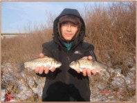 조황조행기 > 특파원조황 > 진위천 조황 소식