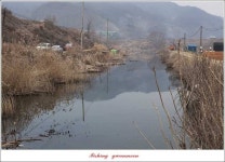 조황조행기 > 특파원조황 > 충주..괴산권 현황..