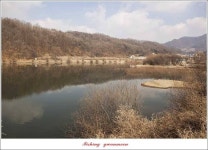 조황조행기 > 특파원조황 > 충주..괴산권 현황..