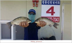 조황/조행기 > 특파원조황 > 청풍 신리..실리곡 월척 및 마릿수 조황..
