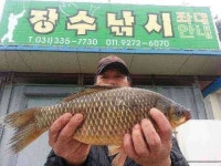조황조행기 > 모바일간편조행 > 송전지장수좌대사짜