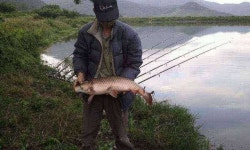 조황조행기 > 모바일간편조행 > 밀양봉황지