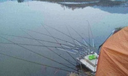 조황조행기 > 모바일간편조행 > 경산 백양지..