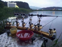 조황/조행기 > 스마트조황 > 강릉) 향호소류지(골든벨)