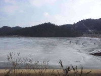 조황조행기 > 모바일간편조행 > 대내실지