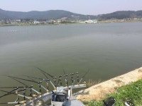 조황조행기 > 모바일간편조행 > 태안 죽림지 왔습니다.