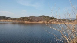 조황조행기 > 모바일간편조행 > 남지 신전늪 갓다 장척호 조황조행기 > 모바일간편조행 > 남지  신전늪  갓다  장척호