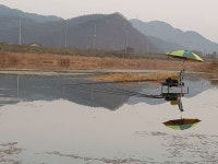 조황/조행기 > 회원 조황 > 경북 위천강 깨붕어&구미 맛집 발견