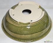 [청송분988]야생화분 : 야생화화분 - 엑스플랜트