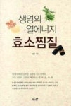 생명의 열에너지 효소찜질 | 영풍문고