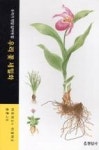 우리 꽃 세밀화 - 우리가 정말 알아야 할 | 영풍문고