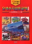 오색수지점토공예(종합편) - 영풍문고 오색수지점토공예(종합편)