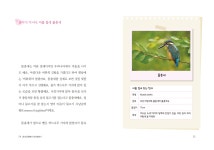 동네 공원에서 새 관찰하기 - 봄 여름 가을 겨울(천천히 읽는 과학 8) - 영풍문고 동네 공원에서 새 관찰하기 - 봄 여름 가을 겨울(천천히 읽는 과학 8)