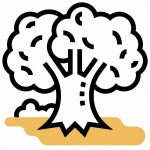 Forest, nature, plant, terrestrial, tree icon - Download on Iconfinder