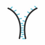 Clothing, fabric, fashion, metal, open, zip, zipper icon - Download on Iconfinder