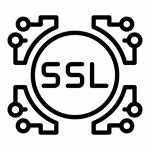 Ssl, system icon - Download on Iconfinder on Iconfinder