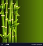 Green bamboo Royalty Free Vector Image - VectorStock Green bamboo vector image on VectorStock