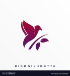 Modern bird colorful template Royalty Free Vector Image Modern bird colorful template vector image on VectorStock