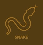 Herpetology Vector Images (93)