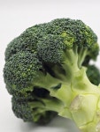 국내산 브로콜리 1kg (제주산)
