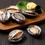 [완도전복] 명품완도전복 500g 20미 내외