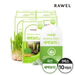 로엘 타블랩 새싹보리정 60정 5박스, (10개월분)