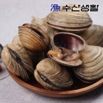 [수산생활] 거제 해녀가 잡은 자연산 개조개 1kg