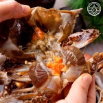 청담미가 연평도 알배기 간장게장 2kg