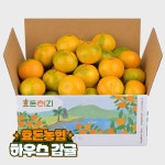 [효돈농협]프리미엄 제주 하우스감귤 특등급 2.5kg (L 사이즈)