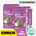 하프클럽 [참앤들황토농원]데이앤 콤부차 그린애플베리 5g 30포 2박스