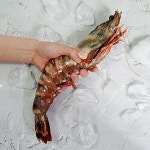 [물맛남] 자연산 킹타이거새우 1kg 6-8미