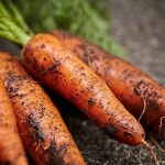 [자연맛남]농장직송 신선한 당근 5kg (특상)