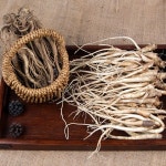 흙 나물도라지 1kg 혼합/ 비세척