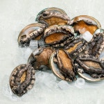 [완도전복] 명품완도전복7호 1kg 20-25미