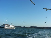 여수 다녀왔어요^^ 오동도-돌산대교 - 뽐뿌:자유갤러리 여수 다녀왔어요^^ 오동도-돌산대교