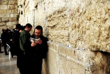 통곡의 벽. - 뽐뿌:자유갤러리 통곡의 벽.