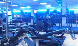 새벽1시반을 기준으로 울동네 헬스장은 사람이 쭉 빠지네요 - 뽐뿌:건강/헬스 새벽1시반을 기준으로 울동네 헬스장은 사람이 쭉 빠지네요