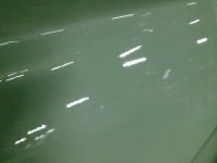 장대비를 퍼맞은 울집 흰둥이 YF 도장면 입니다.. - 뽐뿌:자동차포럼 오늘 태어난지 4일만에 장대비를 퍼맞은 울집 흰둥이 YF 도장면 입니다..